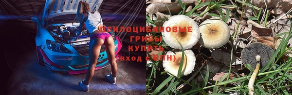 не бодяженный Абинск
