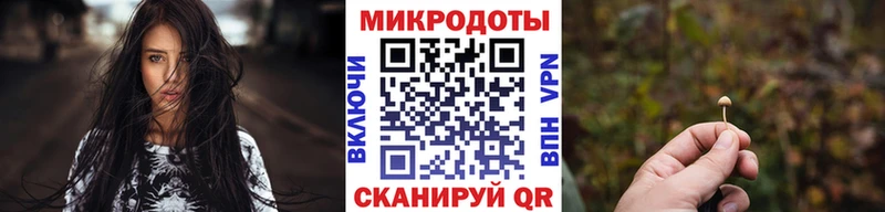Псилоцибиновые грибы Psilocybe  закладка  Вилюйск 