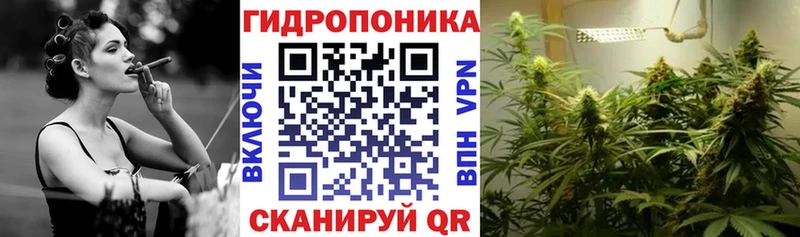 Бошки марихуана сатива Вилюйск